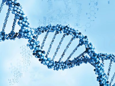 DNA strand illustration art, double helix, deoxyribonucleic acid, genetics