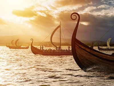 Viking ships on the water