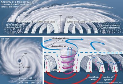 tropical cyclone