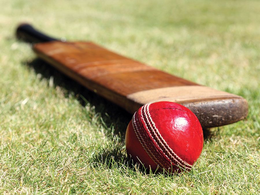 Cricket bat and ball. cricket sport of cricket.Homepage blog 2011, arts and entertainment, history and society, sports and games athletics