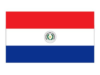 Flag of Paraguy