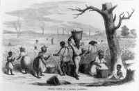 Picking cotton on a Georgia plantation, 1858. Illustration published in Ballou's Pictorial, v. 14, 1858, p. 49. African Americans; Black Americans; cotton pickers; slavery; slaves; enslavement; Georgia