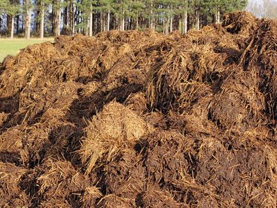 Manure, a mixture of animal excrement and straw, sits in a pile in a field in France.