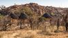 The ancient kingdom hidden in Mapungubwe National Park