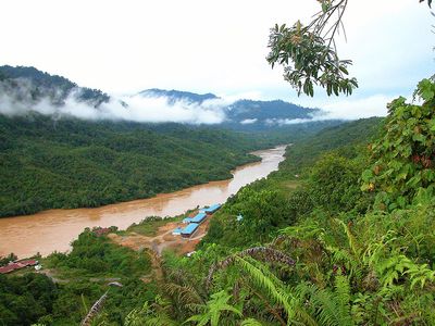 Tropical rainforest on the Sarawak river in Borneo, Malaysia.