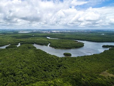 Aerial view of the Amazon River in the Amazon rainforest near Manaus in Brazil. South America