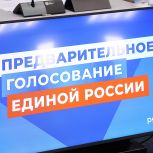 Ведущие политологи оценили предварительное голосование «Единой России»-2024