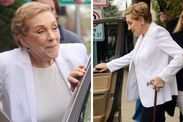 julie andrews rare public appearance walking stick