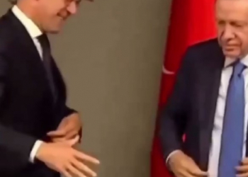 Эрдоган уклонился от рукопожатия с Рютте (видео)