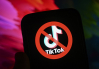 TikTok могут заблокировать в Евросоюзе