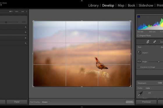how to edit photos in Lightroom