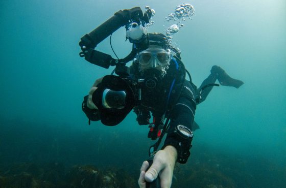 Martin Stevens underwater photography