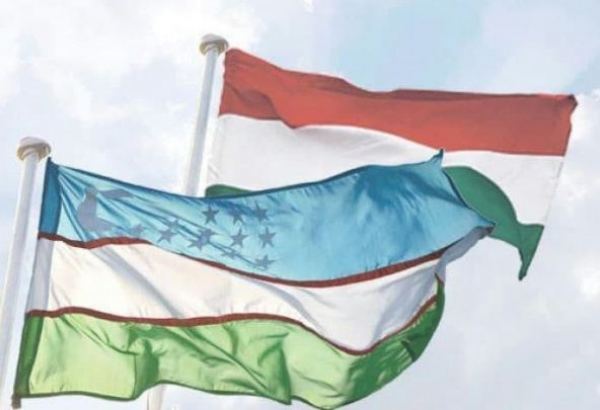 Венгерская компания обсудила с Узбекистаном возможности реализации совместных проектов