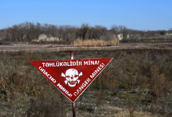 Названо количество мин, обнаруженных на освобожденных территориях Азербайджана за неделю
