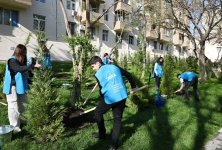 В Баку с участием вице-президента Фонда Гейдара Алиева Лейлы Алиевой в распоряжение жителей переданы очередные благоустроенные дворы (ФОТО)