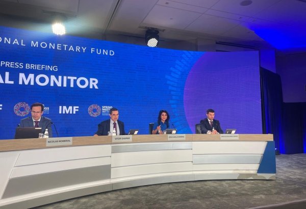 Tackling climate change to require comprehensive combination of policies at national and regional levels - IMF