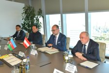 Азербайджан и Австрия обсудили возможности реализации совместных промышленных проектов (ФОТО)