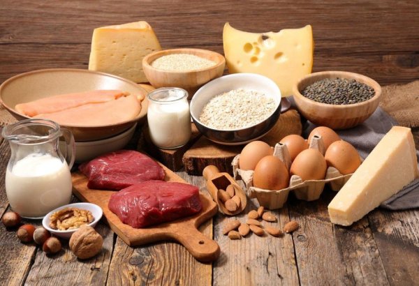 Назван объем производства мяса и молока в освобожденных районах Азербайджана - список