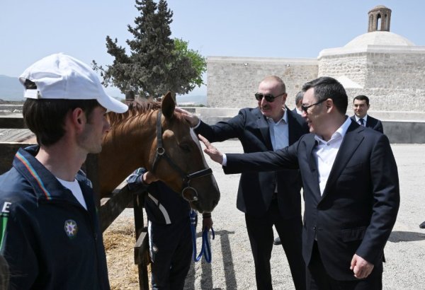 Президент Ильхам Алиев подарил Президенту Садыру Жапарову карабахского скакуна (ФОТО)