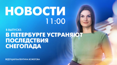 Новости Петербурга к 11:00