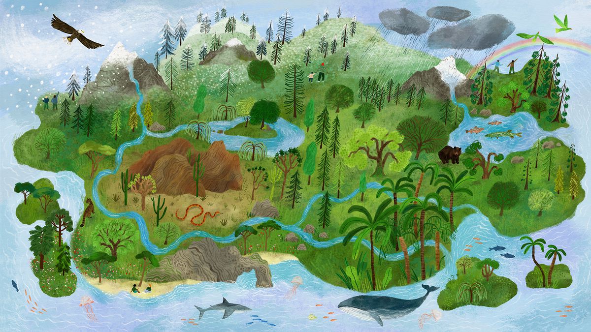 An illustration of a land mass is covered in wildlife, lush greenery and people all interacting. Blue water and sea life surrounds.