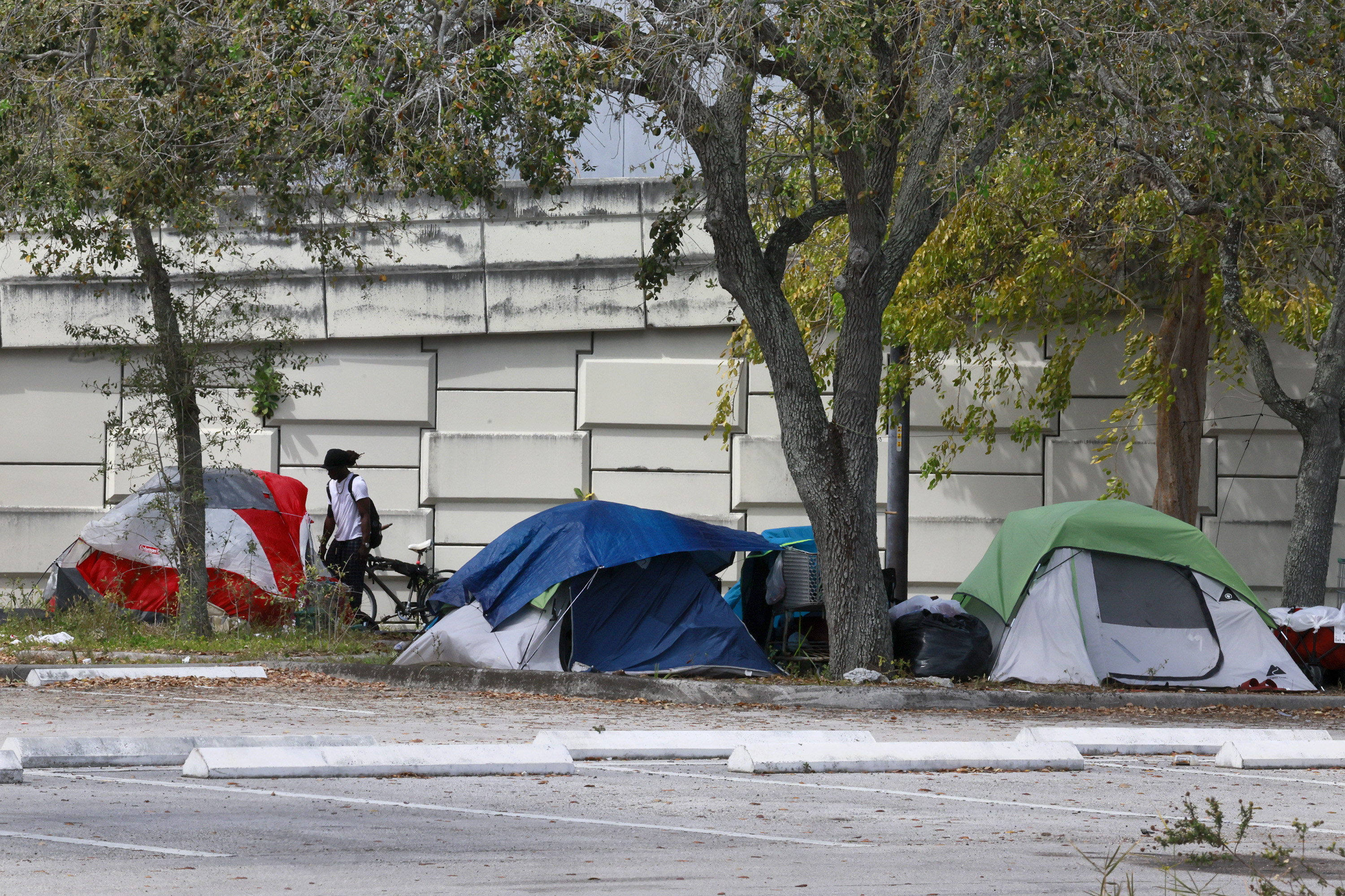 Three small tents pitched beneath some trees beside a parking lot. 