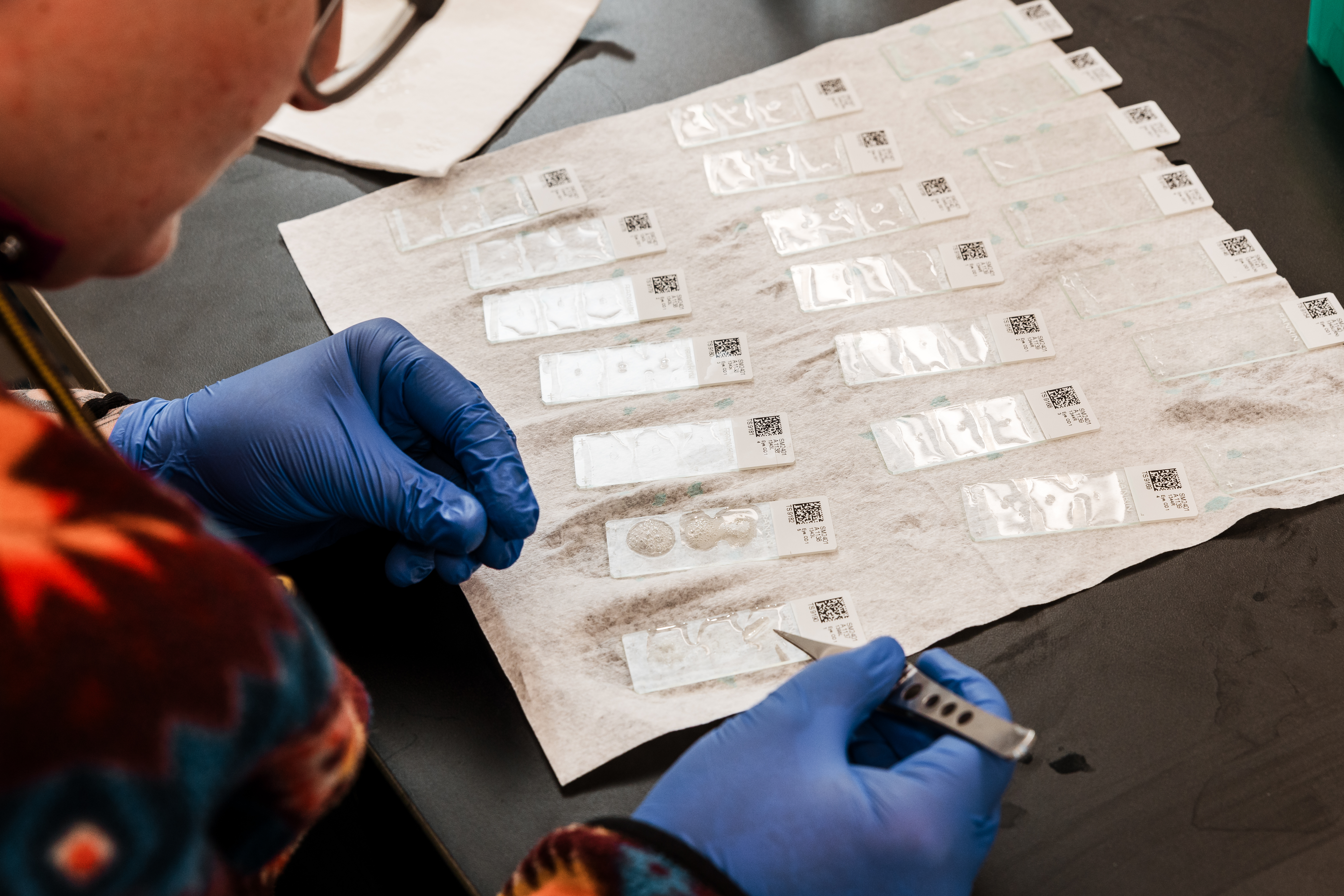 An employee doing lab work. 