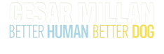 CESAR MILLAN: BETTER HUMAN BETTER DOG UNLOCKED CHANNEL