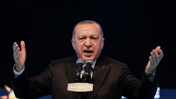 Президент Турции Реджеп Тайип Эрдоган во время выступления