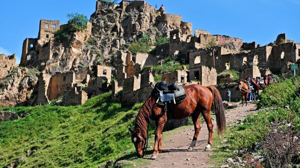 Лошадь пасется у заброшенного селения Гамсутль. Гамсутль - аул в живописной местности, пользуется популярностью среди туристов