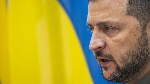 Президент Украины Владимир Зеленский 