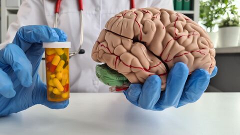 Врач держит модель мозга и таблетки плацебо в руках