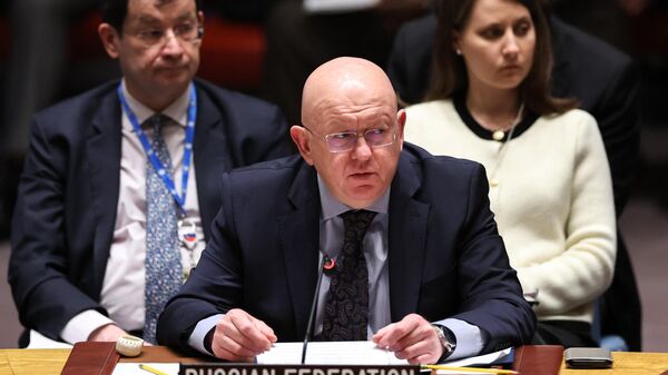 Посол России в ООН Василий Небензя выступает на заседании Совета Безопасности ООН по ситуации на Ближнем Востоке. 14 апреля 2024