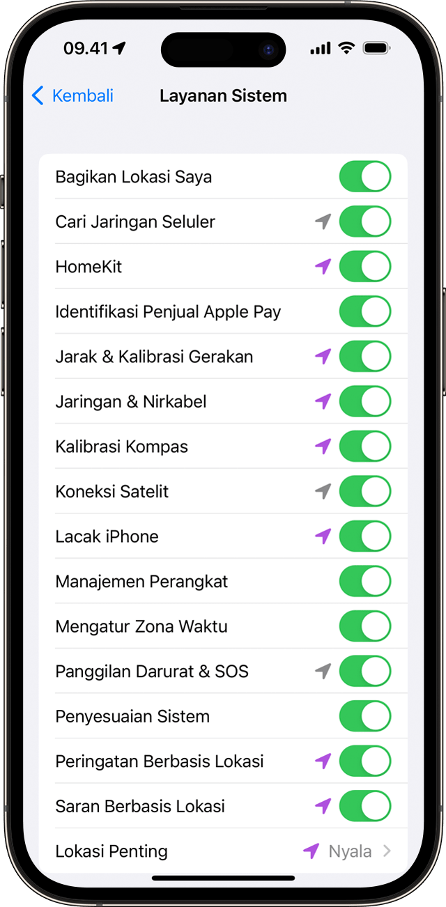 Pengaturan Layanan Sistem di iPhone