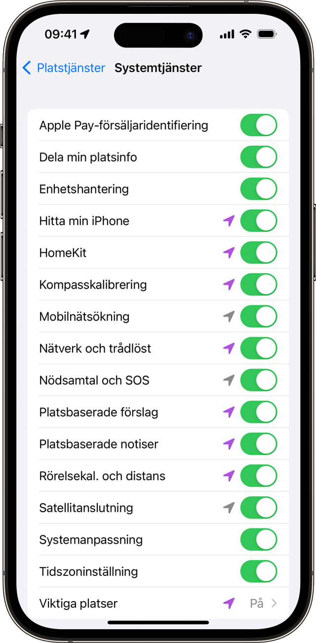 Inställningar för Systemtjänster på iPhone