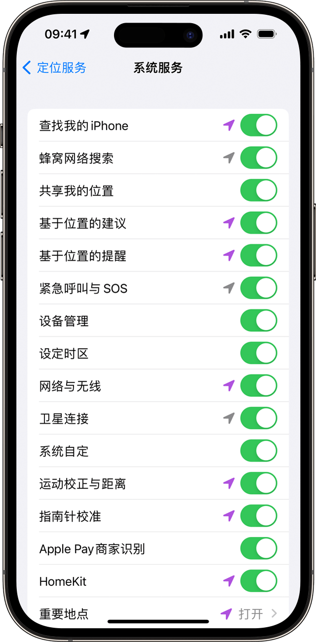 iPhone 上的“系统服务”设置