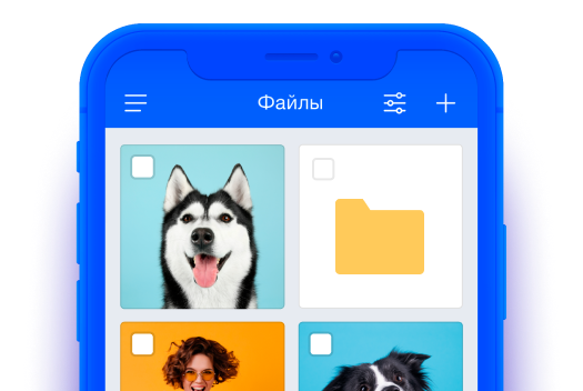 Облако Mail.ru надёжно сохранит ваши файлы и предоставит доступ к ним с любого устройства