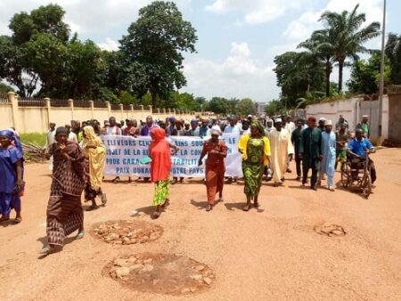 marche des Peuls sur l'avvenue des martyrs