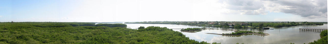 Panoramic view of Weedon Island Preserve in Florida, showing the wide range of aquatic and upland ecosystems on the coast