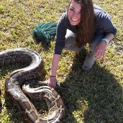 Biologist Michelle Collier with a Burmese python.