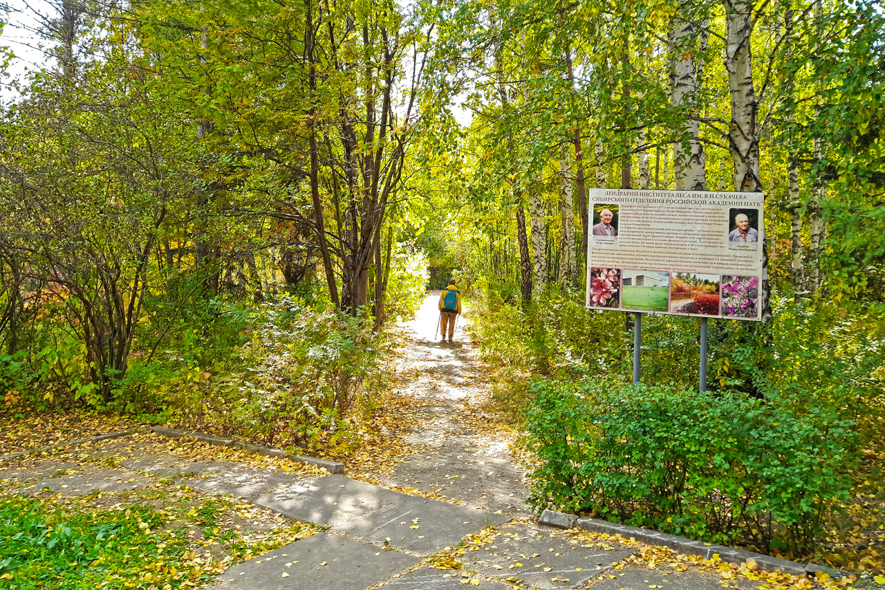 тропинки в дендрарии осенью