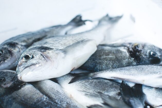 Closeup photograph of a pile of fish.