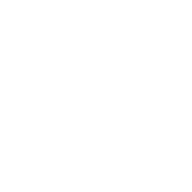 UFC