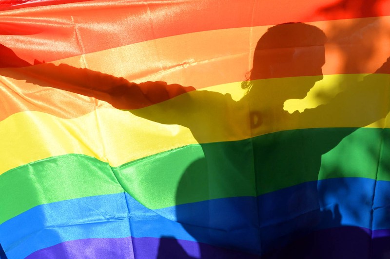 An activist is seen through a rainbow flag during a Pride parade in Kyiv.