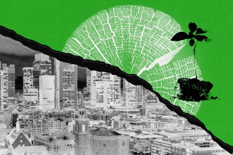 An illustration shows an inverted black and white image of the city skyline of Frankfurt split down the middle with a paper tear revealing a green background. Against the field of green, a cross section of a tree and a seedling are shown.