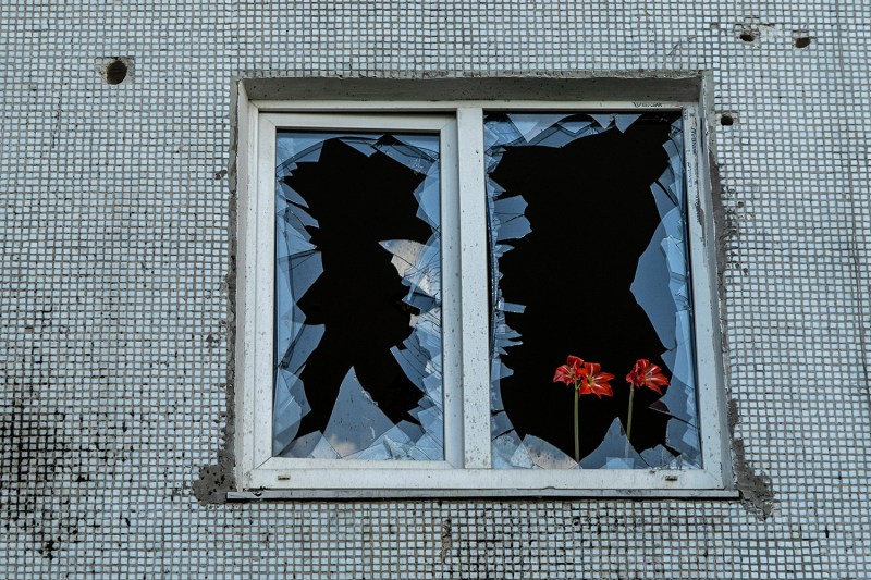 A flower is seen in a broken window in a Ukraine building riddled with bullet holes.