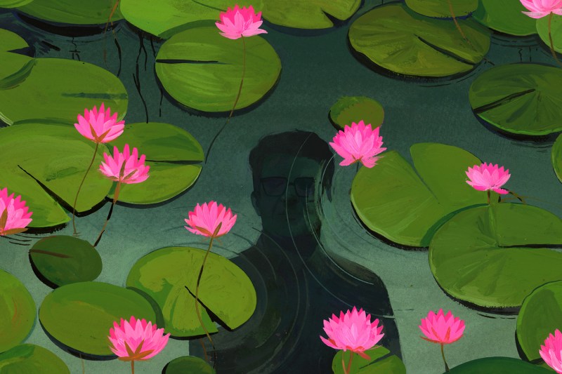 An illustration shows the face of a man reflected in a pond. Around him are lilypads covered with lotus flowers.