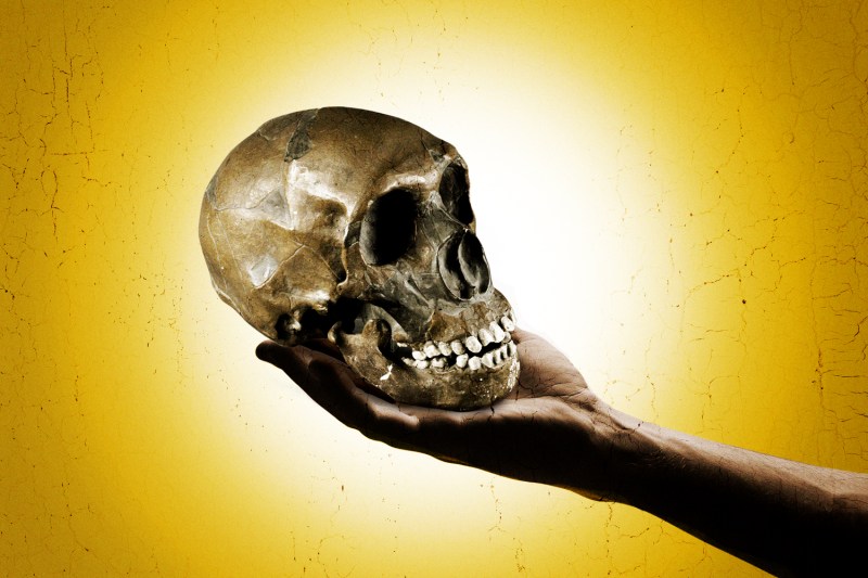 A photo illustration shows a hand holding up a Neanderthal skull to examine it in the style of Shakespeare's character Hamlet performing the "Alas, Poor Yorick!" monologue.
