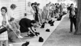Кастинг на роль черного кота в фильме Роджера Кормана "Ужасные истории". Голливуд, 1961. Фото Ральфа Крейна