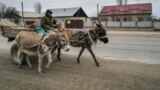 Қазақ-қытай шекарасы маңында есек жегілген арба мініп кетіп бара жатқан адам. Жетісу облысы, 20 наурыз, 2024 жыл.